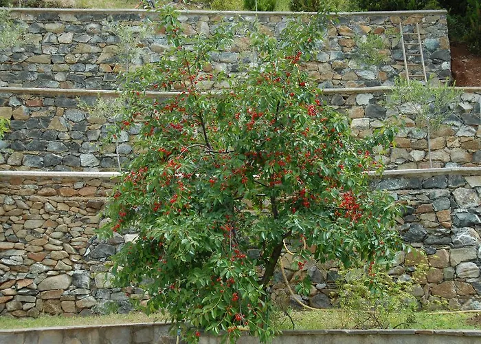 Frühstückspension Luisa