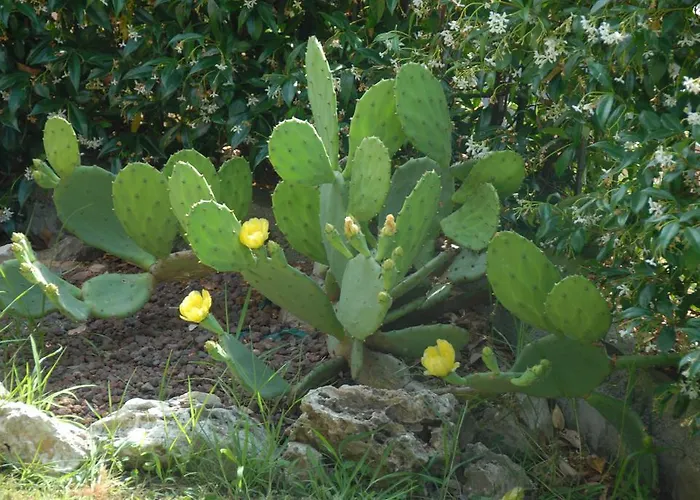 Luisa Bed and breakfast