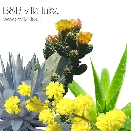 Luisa